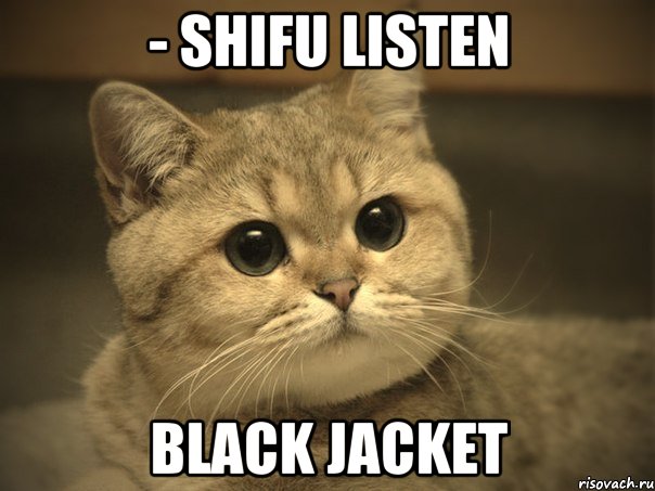 - SHIFU LISTEN BLACK JACKET, Мем Пидрила ебаная котик