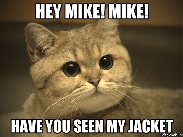 HEY MIKE! MIKE! HAVE YOU SEEN MY JACKET, Мем Пидрила ебаная котик