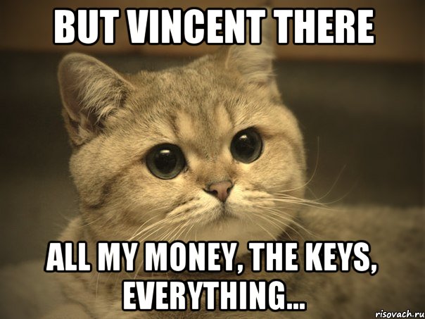 BUT VINCENT THERE ALL MY MONEY, THE KEYS, EVERYTHING..., Мем Пидрила ебаная котик