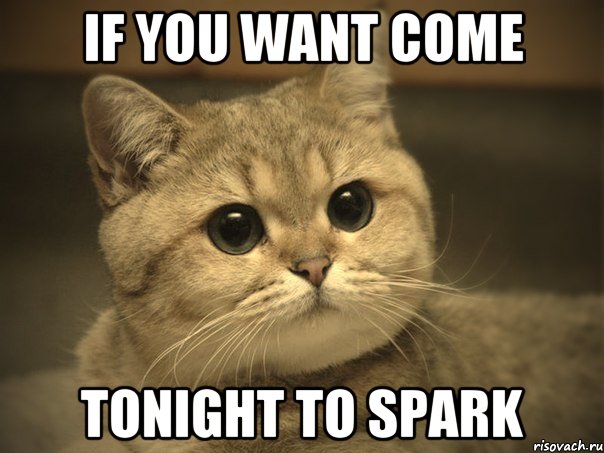 IF YOU WANT COME TONIGHT TO SPARK, Мем Пидрила ебаная котик