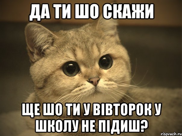 да ти шо скажи ще шо ти у вівторок у школу не підиш?, Мем Пидрила ебаная котик