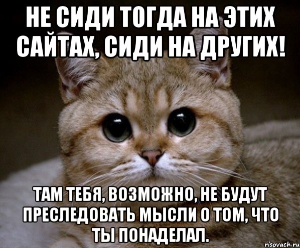 Не сиди тогда на этих сайтах, сиди на других! Там тебя, возможно, не будут преследовать мысли о том, что ты понаделал., Мем Пидрила Ебаная