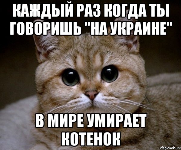 Каждый раз когда ты говоришь "на Украине" в мире умирает котенок, Мем Пидрила Ебаная