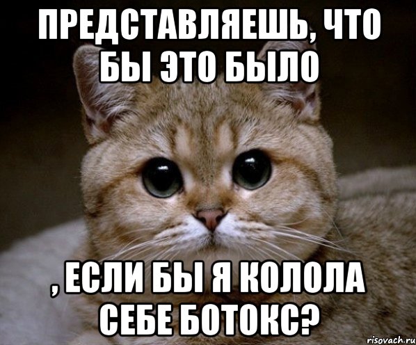 Представляешь, что бы это было , если бы я колола себе ботокс?, Мем Пидрила Ебаная