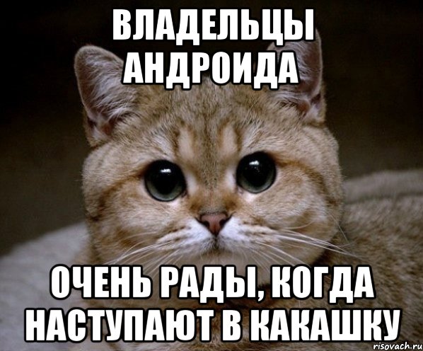 Владельцы андроида Очень рады, когда наступают в какашку, Мем Пидрила Ебаная