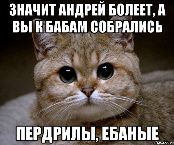 Значит Андрей болеет, а вы к бабам собрались Пердрилы, ебаные, Мем Пидрила Ебаная