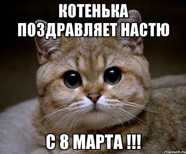 Котенька поздравляет Настю с 8 марта !!!, Мем Пидрила Ебаная