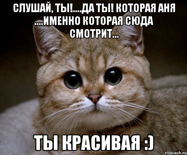 Слушай, ты!....да ты! которая Аня ....именно которая сюда смотрит... ты красивая :), Мем Пидрила Ебаная