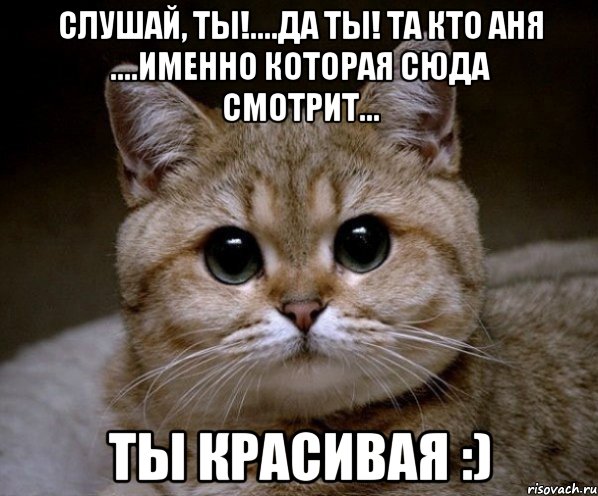 Слушай, ты!....да ты! та кто Аня ....именно которая сюда смотрит... ты красивая :), Мем Пидрила Ебаная