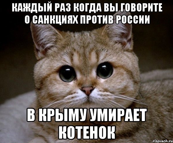 Каждый раз когда вы говорите о санкциях против России В Крыму умирает котенок, Мем Пидрила Ебаная