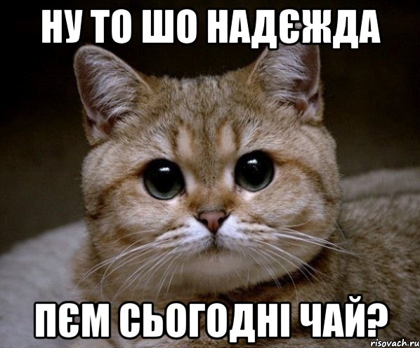 Ну то шо Надєжда пєм сьогодні чай?, Мем Пидрила Ебаная