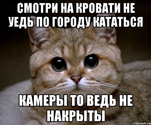 Смотри на кровати не уедь по городу кататься Камеры то ведь не накрыты, Мем Пидрила Ебаная