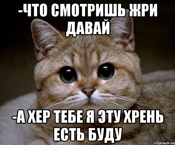 -Что смотришь жри давай -а хер тебе я эту хрень есть буду, Мем Пидрила Ебаная