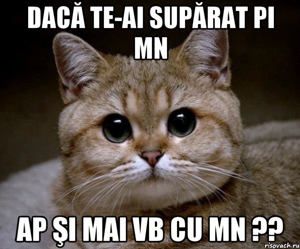 dacă te-ai supărat pi mn ap şi mai vb cu mn ??, Мем Пидрила Ебаная