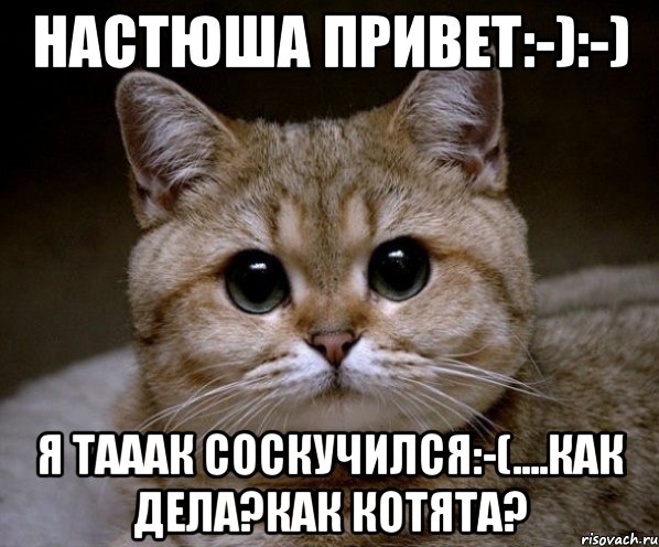 Настюша привет:-):-) я тааак соскучился:-(....как Дела?как котята?, Мем Пидрила Ебаная