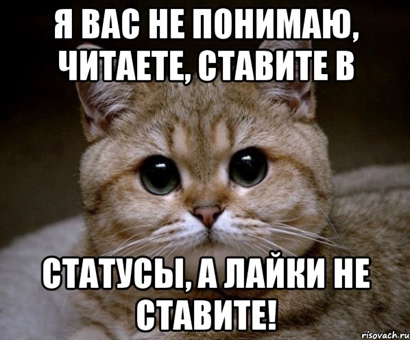 Я вас не понимаю, читаете, ставите в статусы, а лайки не ставите!, Мем Пидрила Ебаная