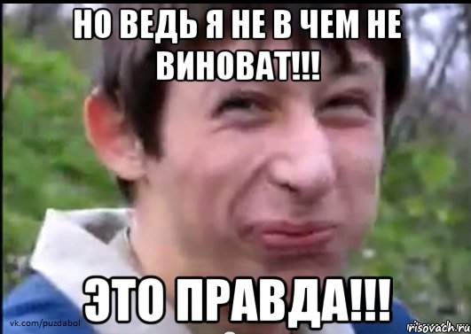 Но ведь я не в чем не виноват!!! это правда!!!, Мем Пиздабол (врунишка)