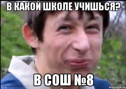 в какой школе учишься? в СОШ №8, Мем Пиздабол (врунишка)