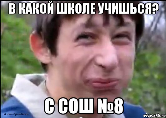 в какой школе учишься? с СОШ №8, Мем Пиздабол (врунишка)