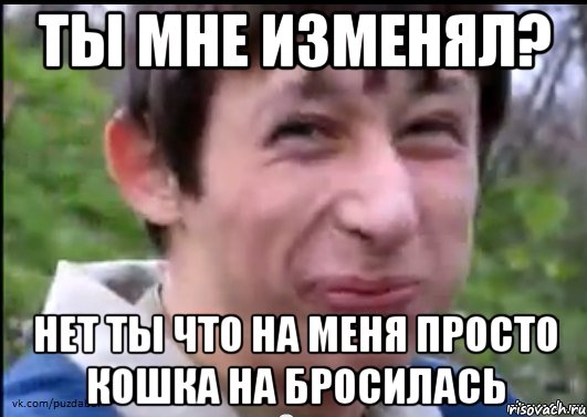 Ты Мне Изменял? Нет ТЫ Что На Меня Просто Кошка На бросилась, Мем Пиздабол (врунишка)