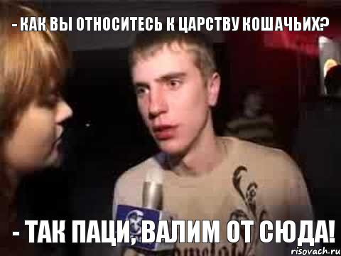 - Как вы относитесь к царству кошачьих? - Так паци, валим от сюда!, Мем Плохая музыка