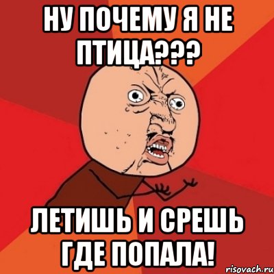 Ну почему я не птица??? Летишь и срешь где попала!, Мем Почему