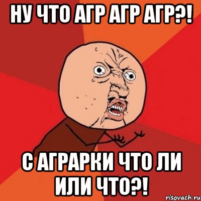 НУ ЧТО АГР АГР АГР?! С АГРАРКИ ЧТО ЛИ ИЛИ ЧТО?!, Мем Почему