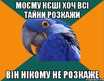 Моєму кєші хоч всі тайни розкажи він нікому не розкаже, Мем Попугай параноик