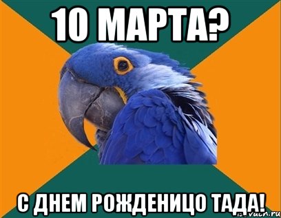 10 МАРТА? С ДНЕМ РОЖДЕНИЦО ТАДА!, Мем Попугай параноик