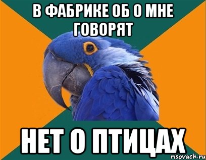 в фабрике об о мне говорят нет о птицах, Мем Попугай параноик