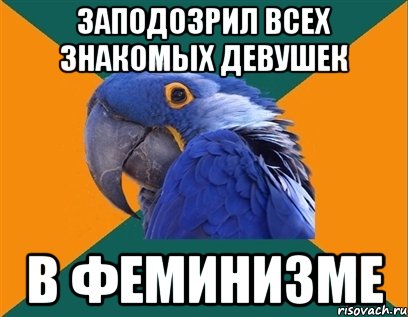 ЗАПОДОЗРИЛ ВСЕХ ЗНАКОМЫХ ДЕВУШЕК В ФЕМИНИЗМЕ, Мем Попугай параноик