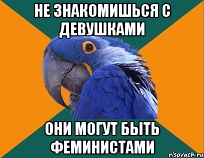 НЕ ЗНАКОМИШЬСЯ С ДЕВУШКАМИ ОНИ МОГУТ БЫТЬ ФЕМИНИСТАМИ, Мем Попугай параноик