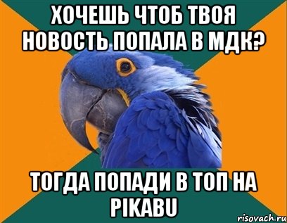 Хочешь чтоб твоя новость попала в МДК? Тогда попади в топ на pikabu, Мем Попугай параноик