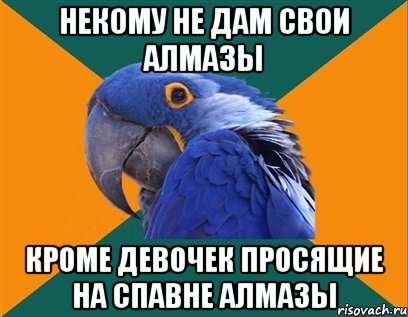 Некому не дам свои алмазы Кроме девочек просящие на спавне алмазы, Мем Попугай параноик