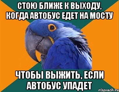 стою ближе к выходу, когда автобус едет на мосту чтобы выжить, если автобус упадет, Мем Попугай параноик