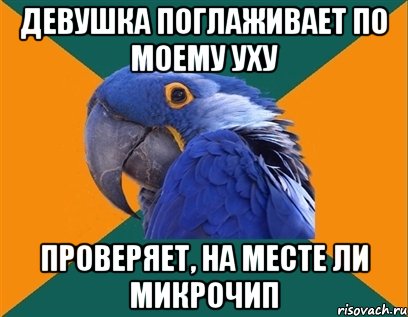 ДЕВУШКА ПОГЛАЖИВАЕТ ПО МОЕМУ УХУ ПРОВЕРЯЕТ, НА МЕСТЕ ЛИ МИКРОЧИП, Мем Попугай параноик