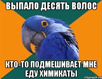 ВЫПАЛО ДЕСЯТЬ ВОЛОС КТО-ТО ПОДМЕШИВАЕТ МНЕ ЕДУ ХИМИКАТЫ, Мем Попугай параноик