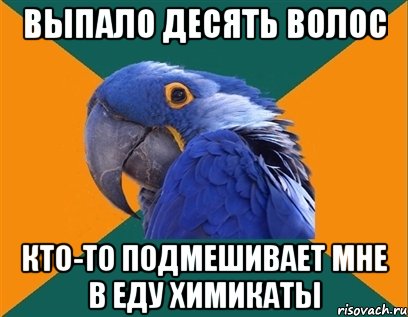 ВЫПАЛО ДЕСЯТЬ ВОЛОС КТО-ТО ПОДМЕШИВАЕТ МНЕ В ЕДУ ХИМИКАТЫ, Мем Попугай параноик