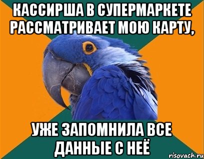 КАССИРША В СУПЕРМАРКЕТЕ РАССМАТРИВАЕТ МОЮ КАРТУ, УЖЕ ЗАПОМНИЛА ВСЕ ДАННЫЕ С НЕЁ, Мем Попугай параноик