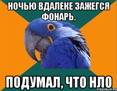 ночью вдалеке зажегся фонарь. подумал, что нло, Мем Попугай параноик