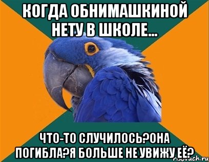 Когда Обнимашкиной нету в школе... ЧТО-ТО СЛУЧИЛОСЬ?ОНА ПОГИБЛА?Я БОЛЬШЕ НЕ УВИЖУ ЕЁ?, Мем Попугай параноик