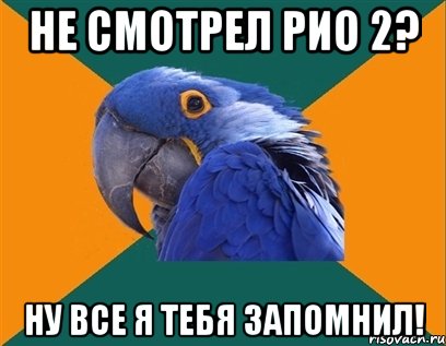 Не смотрел Рио 2? Ну все я тебя запомнил!, Мем Попугай параноик