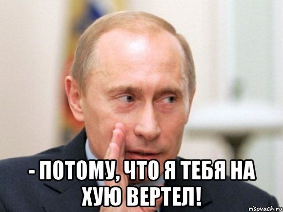  - потому, что я тебя на хую вертел!