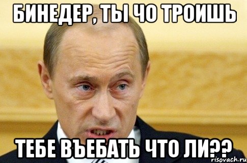 Бинедер, ты чо троишь Тебе Въебать что ли??, Мем путин