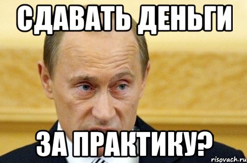 Сдавать деньги за практику?, Мем путин