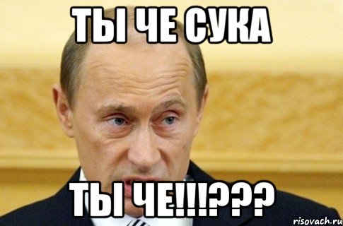 Ты че сука ты че!!!???, Мем путин