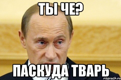 Ты че? Паскуда тварь, Мем путин