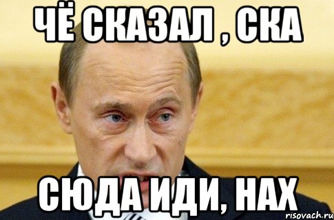 Чё сказал , ска сюда иди, нах, Мем путин