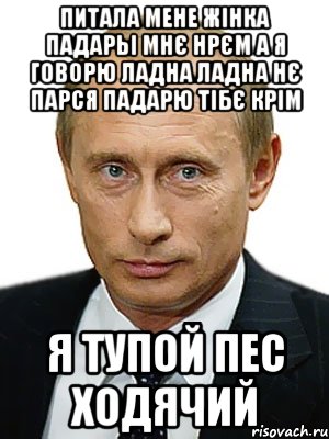 питала мене жінка падарьі мнє нрєм а я говорю ладна ладна нє парся падарю тібє крім я тупой пес ходячий, Мем Путин