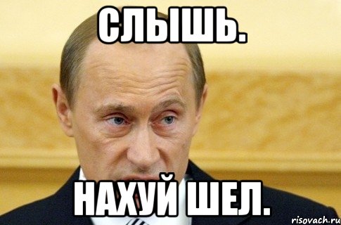 Слышь. Нахуй шел., Мем путин